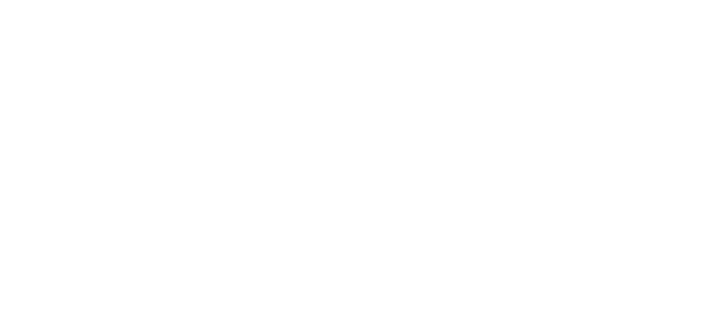 Visit.org Logo | White